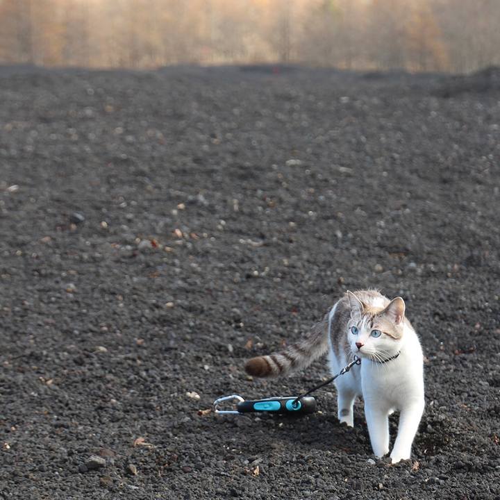 95887241 bc67 4cfc a05c 17d8a6402326 1669891536293