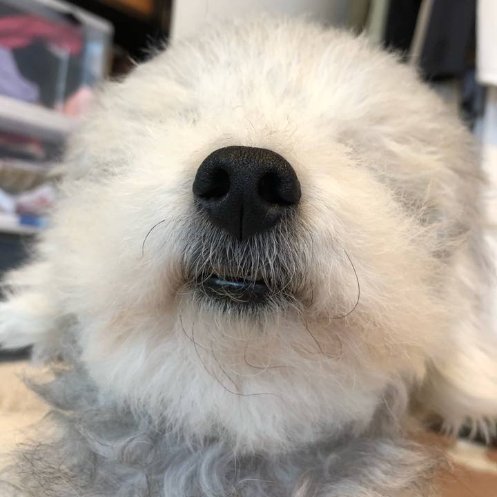 95887971 1097 4a5a 835a 03ce6a412c80 1597732829249