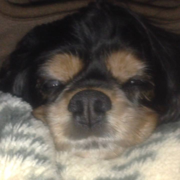 958881b1 9e99 4e9a 9141 f3b660f88456 1578558334047