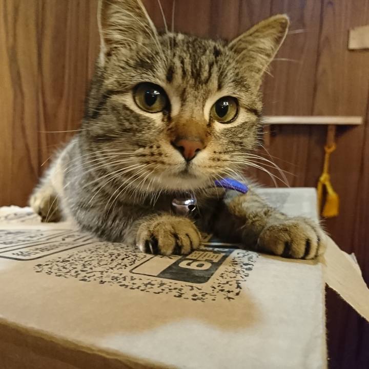 9588965f 7a74 40eb 9be2 c8525202c729 1550841368645