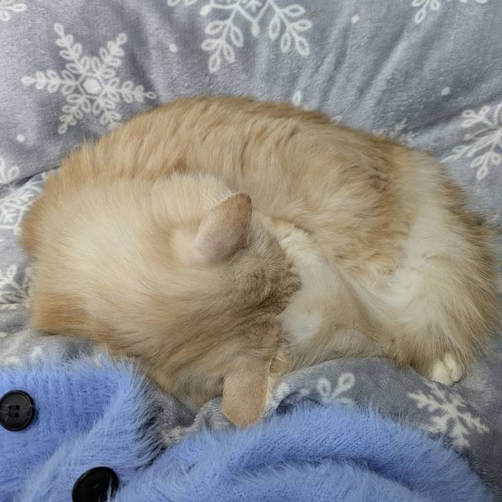 9588ab71 1ae2 483b 963f 00b1a58d5c87 1762836750158