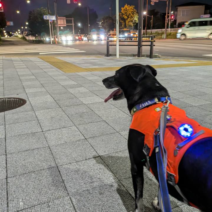 958902f7 d58a 4f72 b24a 9d23dfd678b2 1724410396518