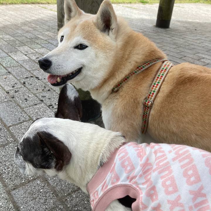 95890438 7966 4098 9f9a fe513d9986af 1763968324326