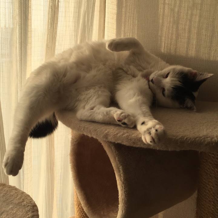 9589197b b58d 44ee 80a5 3fa909f64872 1516431263134