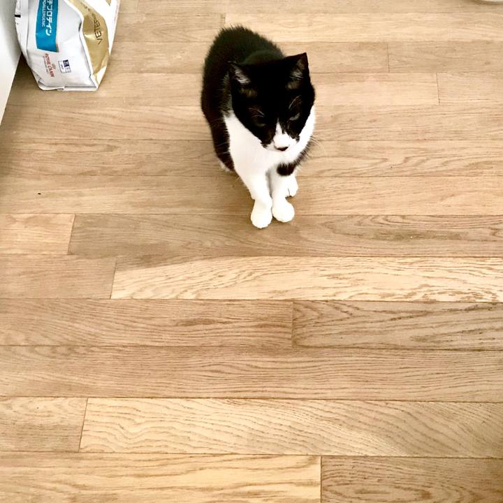 9589806d ba3c 491c 8563 9f8078764790 1525062951582