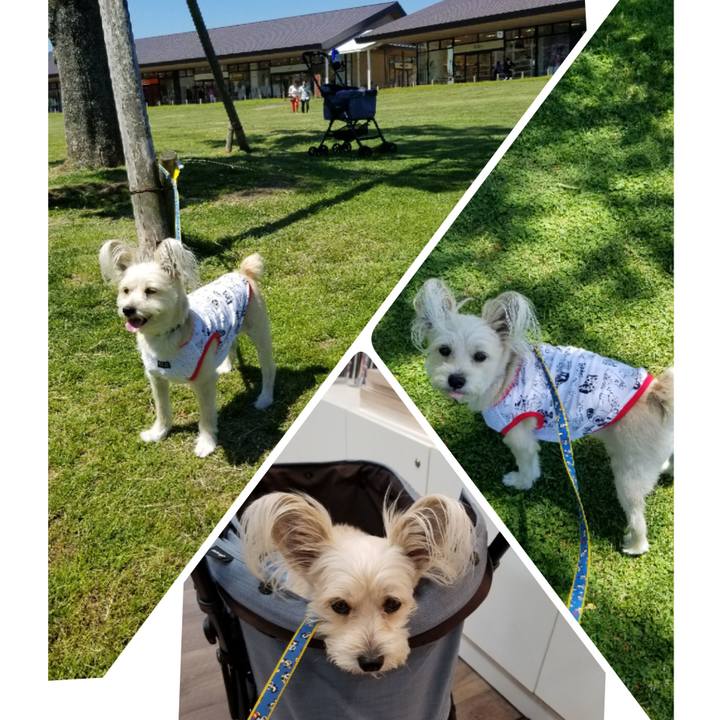 95899999 bc73 4855 a5b4 6465ea4573b9 1528025937689