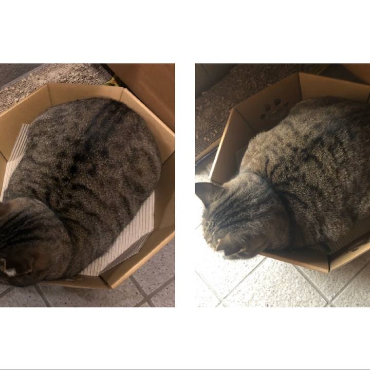 9589a1d6 68ed 4747 889a 29a56d8bb44f 1544517428395