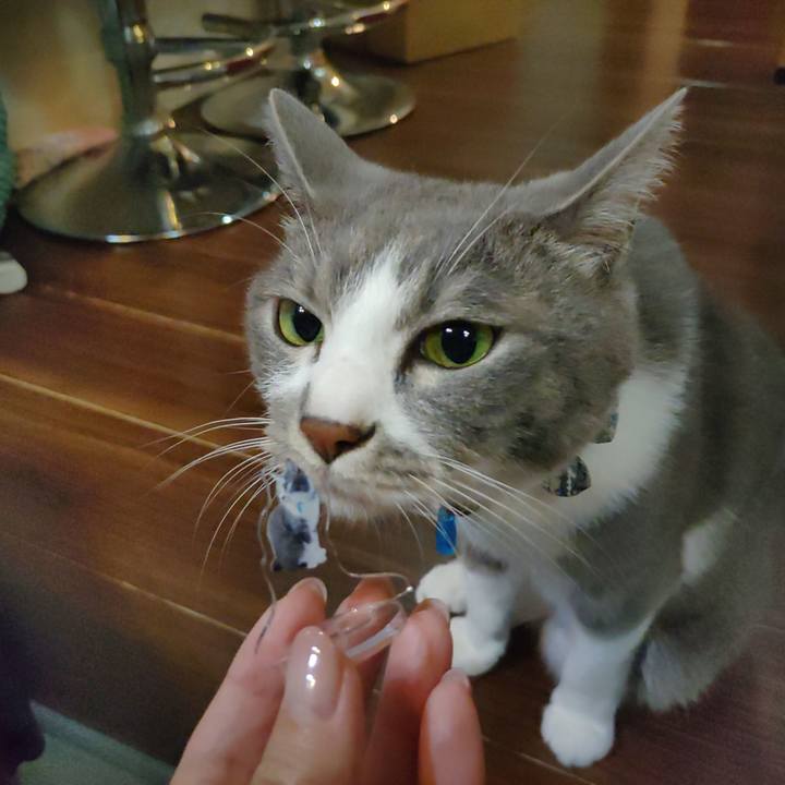 958a8ed4 7770 4da0 8281 7161788cdfac 1690292037093