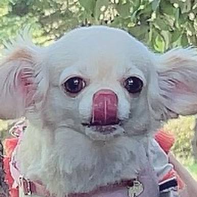 958a99ab 9f2d 487b 8367 e6c38b9d2460 1695033897634