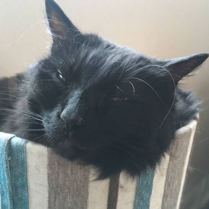 958a9c2c 2cf5 4170 b9f4 2163f4286e03 1530073339202