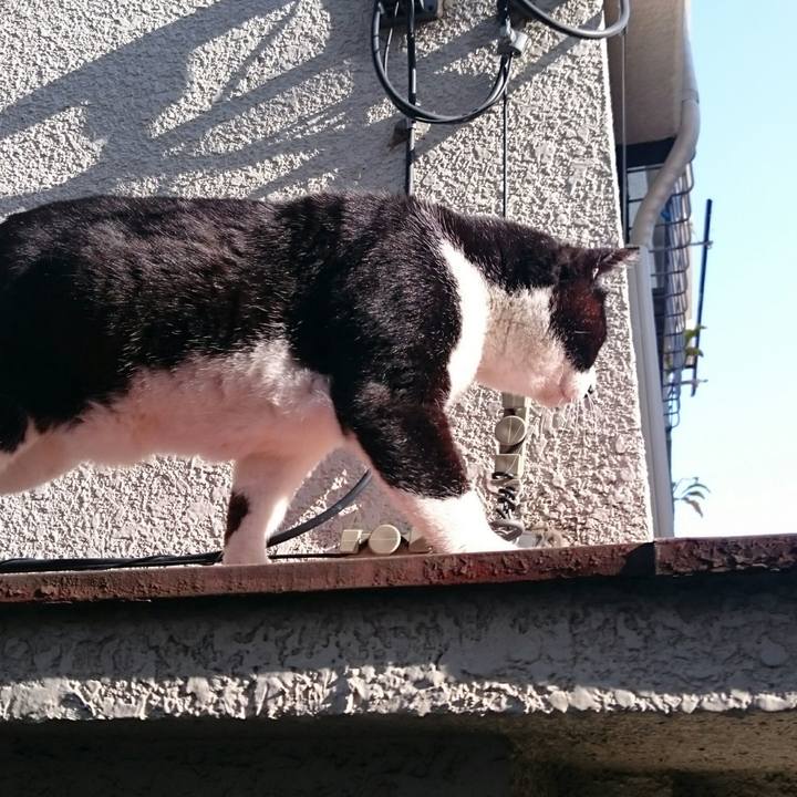 958ae9f8 f95f 4704 a6b6 88b6256f2d83 1520898805262