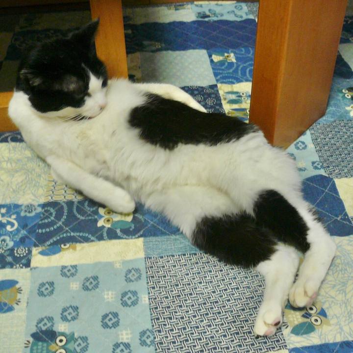 958b2db3 f763 4198 b01c 722b00c8ccf5 1580810696415