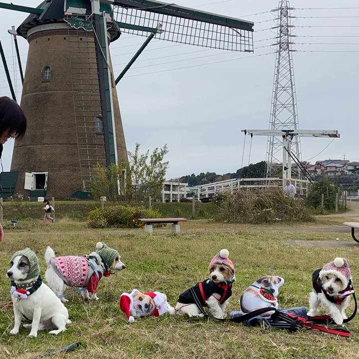 958b40d9 ea51 4a6f bbca 57a79c1c38d4 1763902335185