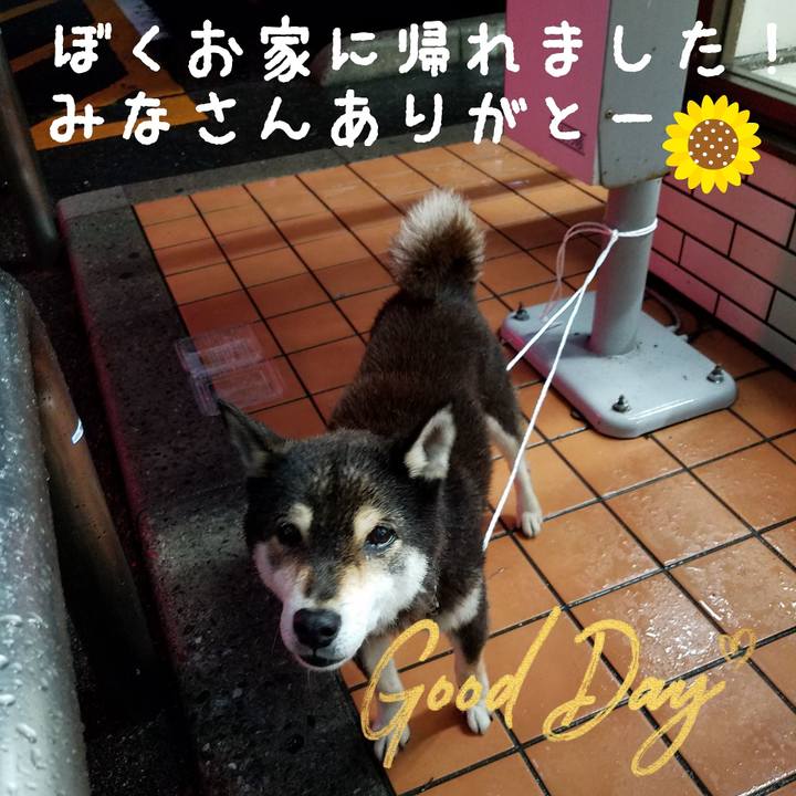 958b4c3c 0ade 473c bbfa 6cfe796a6a23 1593605539583