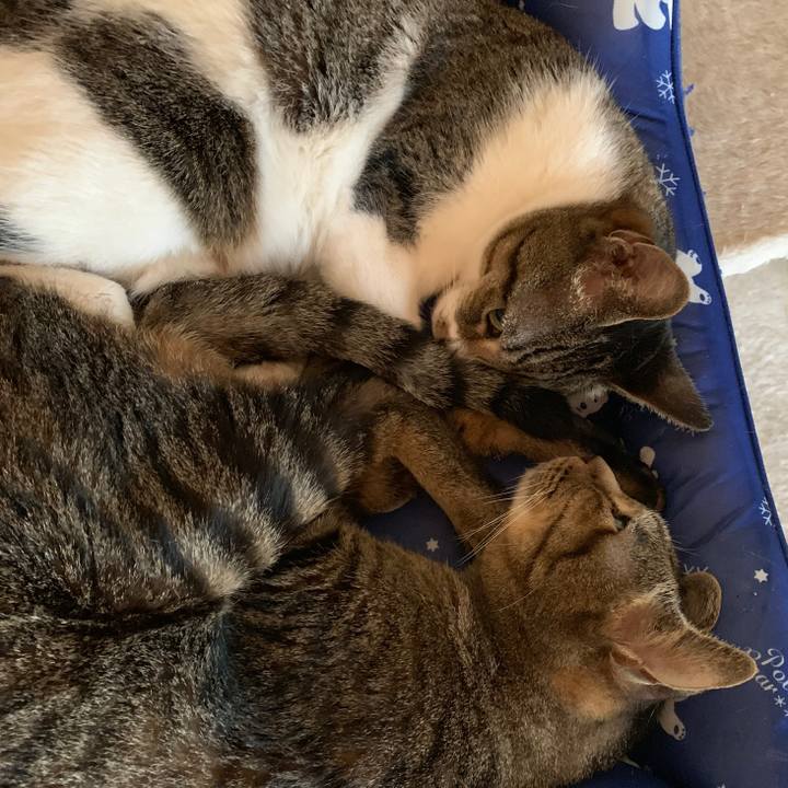 958b57e5 6ccf 4c26 8386 ff346474f0c7 1567817058863