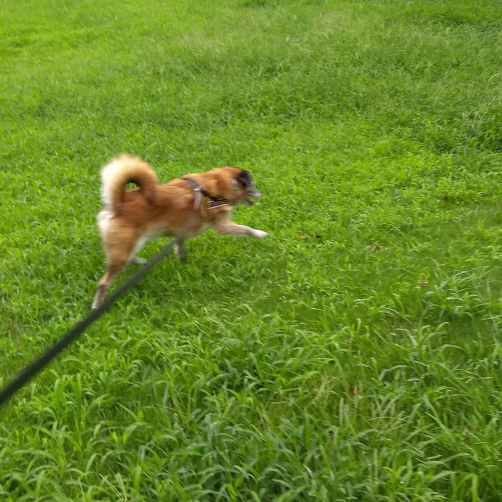 958b6031 6488 402a b731 9726813eba50 1567554144047