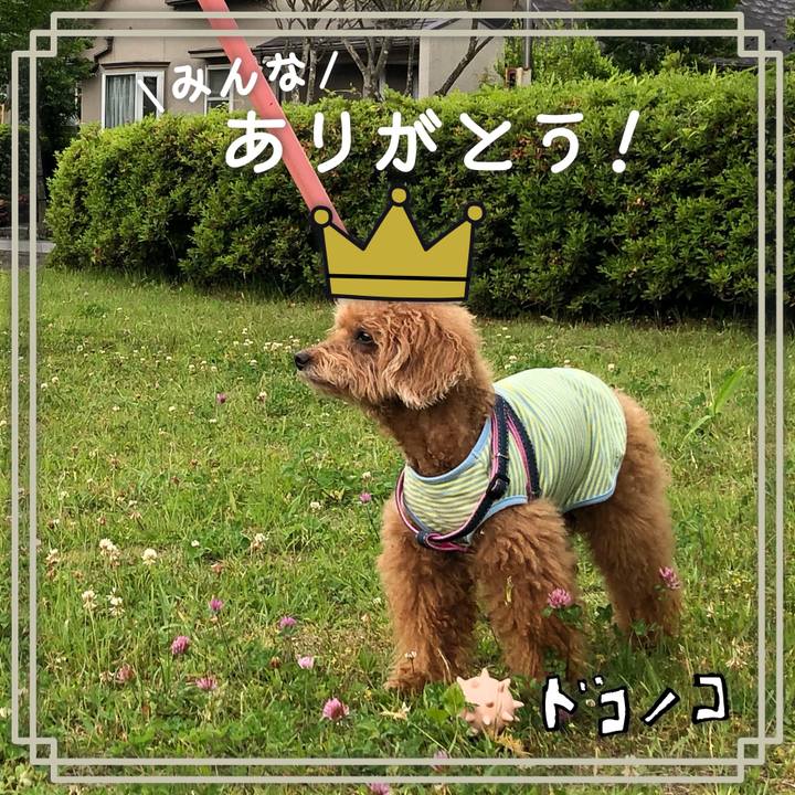 958b7ef8 40f8 493c 87ac 4f868befe8d6 1623641226716