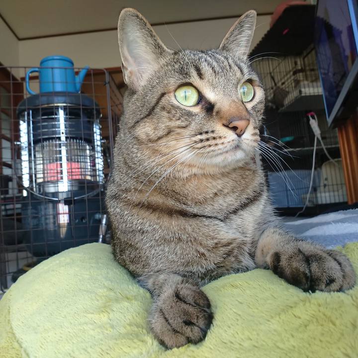 958bc1d6 c4e4 48e0 bf5d c3e1a219f5cd 1606694494660