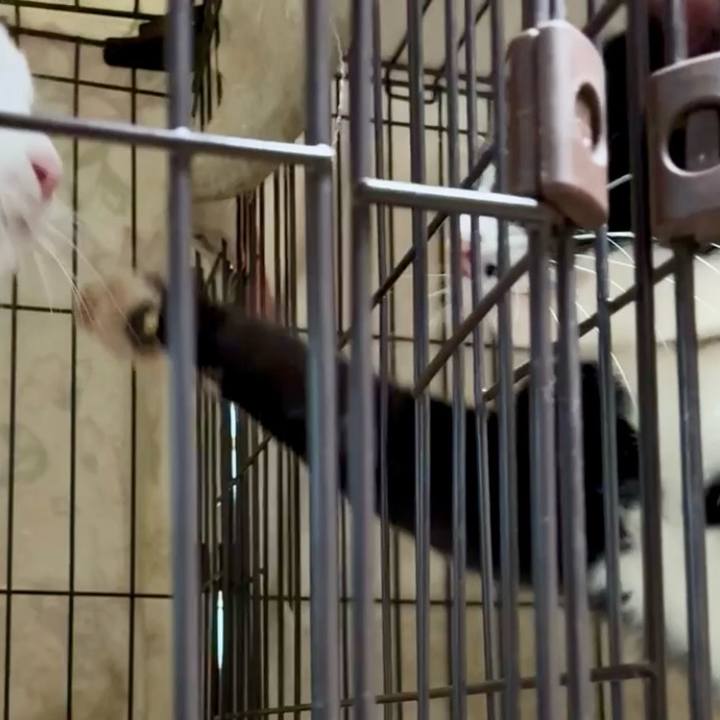 958becfb 6306 4a10 9290 4c6872749f15 1760005522559