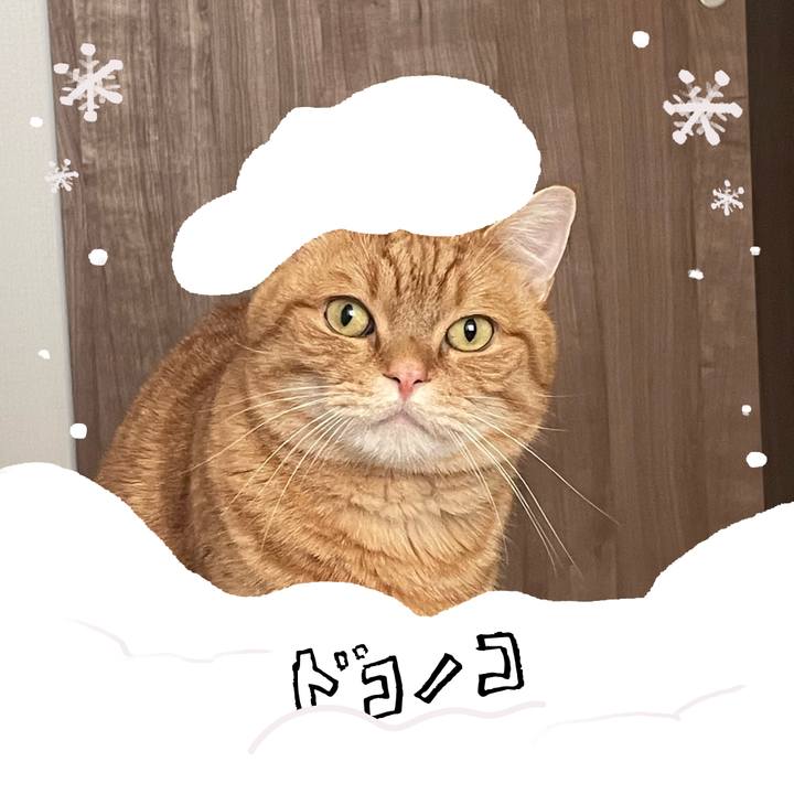 958c0c15 4162 4f19 8667 0ff488d4e987 1771974549711