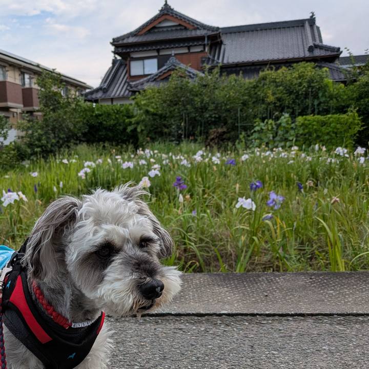 958c131d f3b8 4625 9311 c5ca64cb8e4c 1749990980362