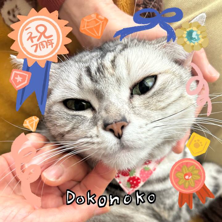 958c1be9 5227 4195 b243 f6eb2ce3b989 1686010219451