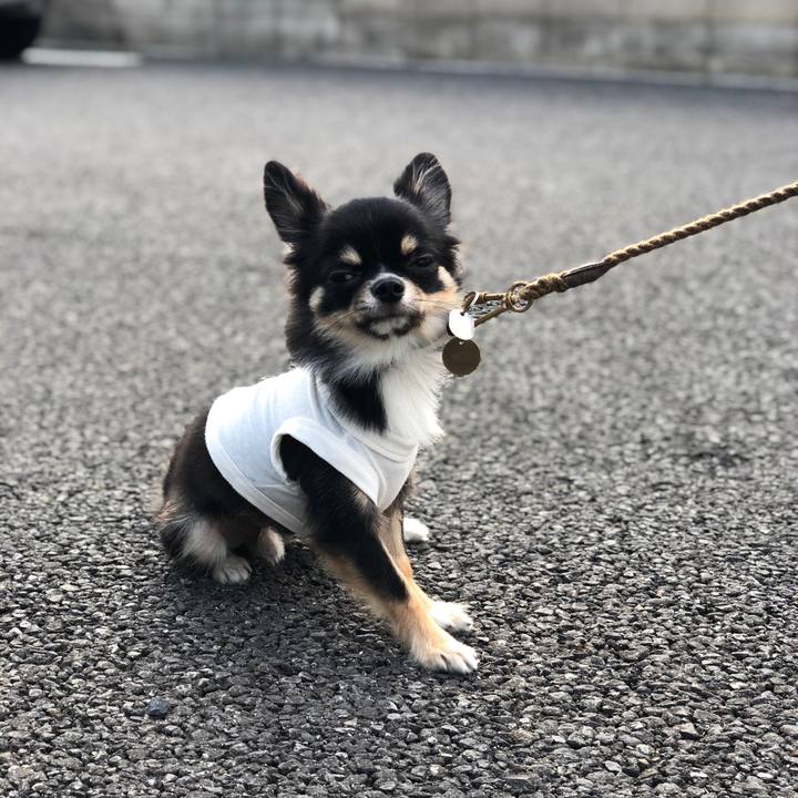 958c6b52 890d 449e a040 93028e526e0b 1534895200640