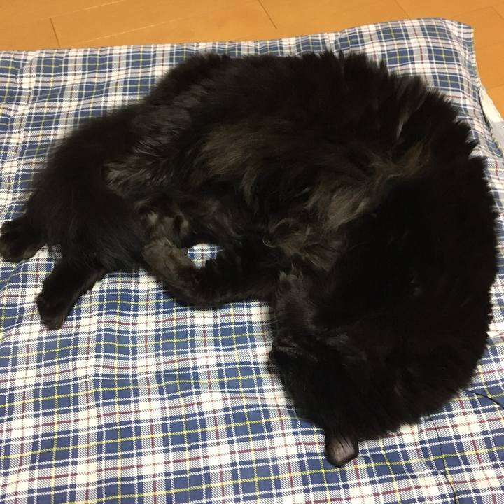 958c9a08 b757 414f aa11 589ccc338a51 1515602916906