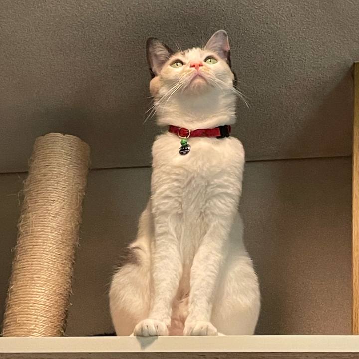 958c9cbd 345b 4ae0 bf01 ba2118db3f8e 1730210809451