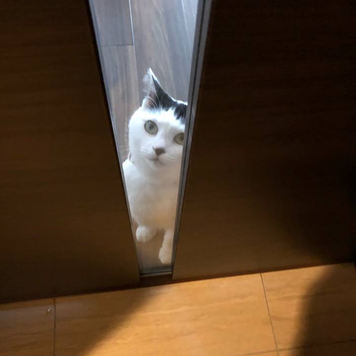 958cad25 bfb3 4467 b032 481407d667cf 1543793929027