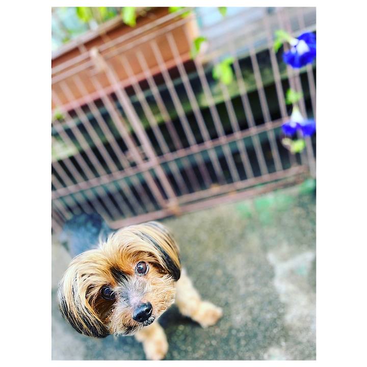 958cb2d0 32a2 43f0 907c dfb9c77a7255 1659479509049