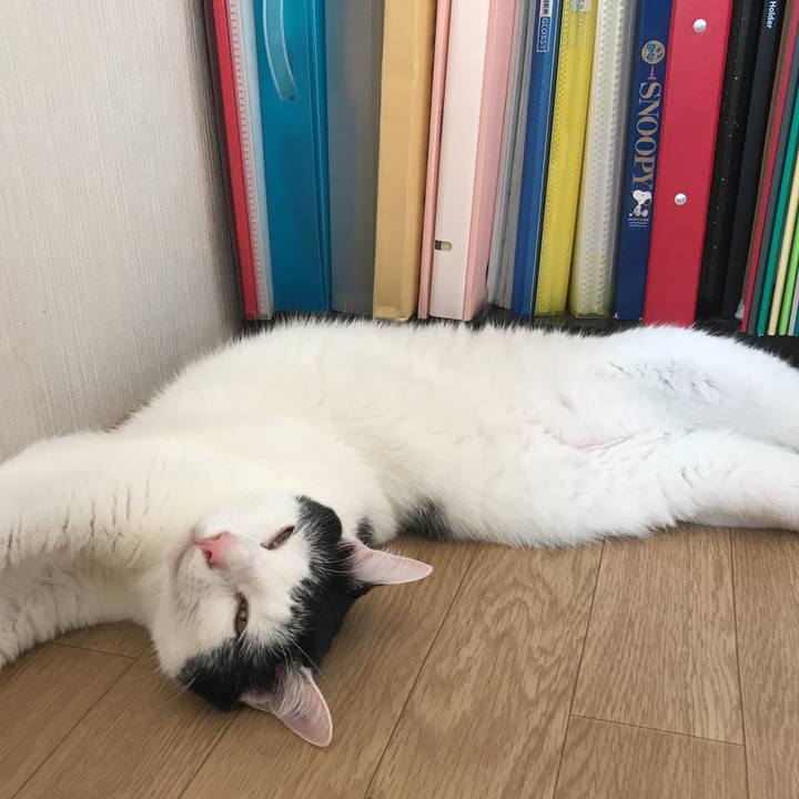 958cd338 d47c 41e9 9e39 1c4253c9996e 1532316234732