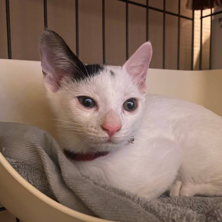 958d0cd5 81a3 4c43 95f8 124183962bae 1663400529937