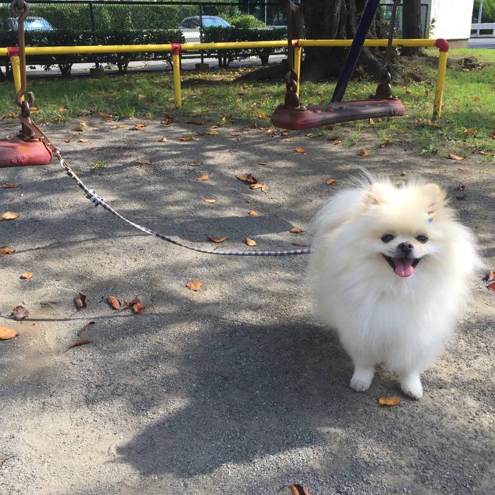 958d15d3 3b28 4430 bd10 820fbf95995d 1569547871697