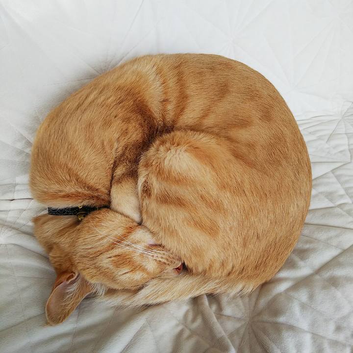 958d1e58 2d15 4ae2 bd1f 73623e14087d 1609473001227