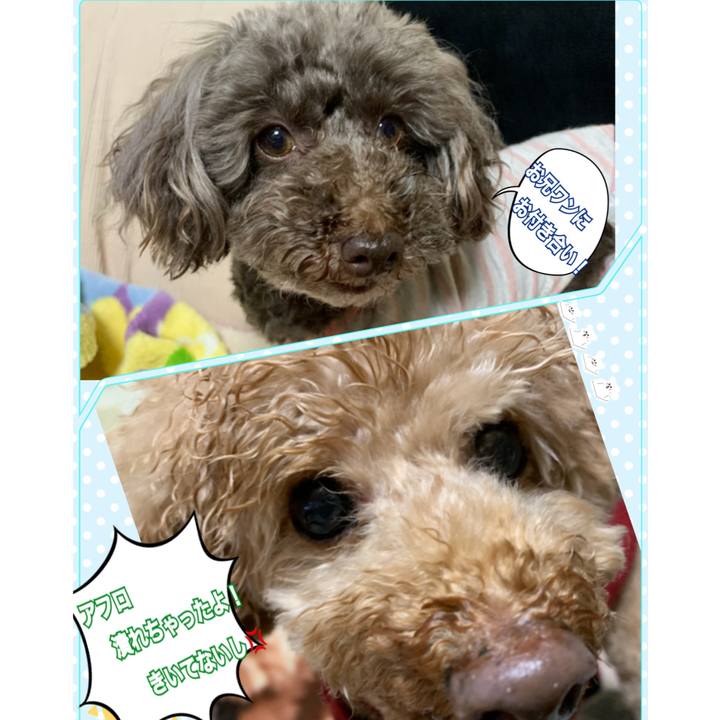 958d27a4 9b09 47a1 b5a8 7dedb696ed69 1578645295032