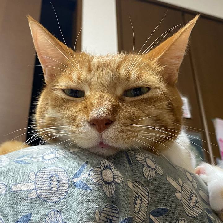 958d321c 545b 46f7 a4f3 5e8a9b7147d3 1765624630946