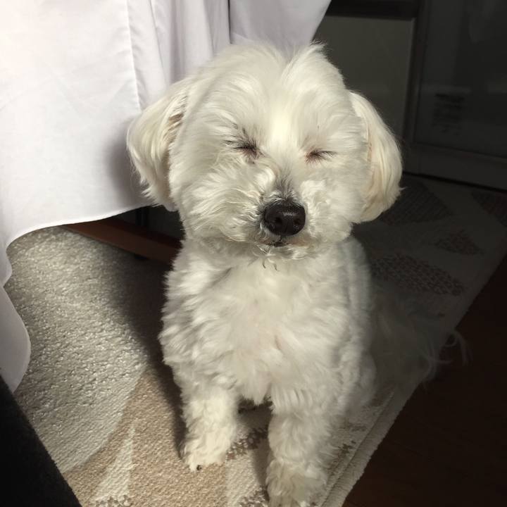 958d4b3f f236 43dd b9aa 348b9ff39976 1520741052052