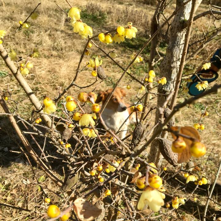 958d669a 08f4 4dc8 af79 54c2be9a2e27 1612003257838