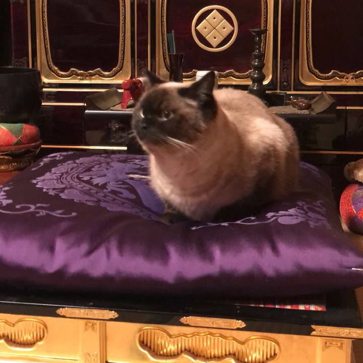 958d66f3 8ad0 450f 847d 061f7a1e97ae 1617495253472