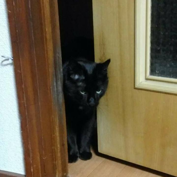 958d6886 51af 45f3 9fa4 c6c9580dd307 1533384379754