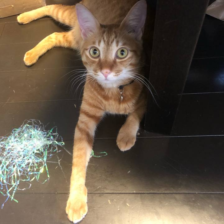 958d76da 1fa8 405b b592 8691381986e3 1637205376541