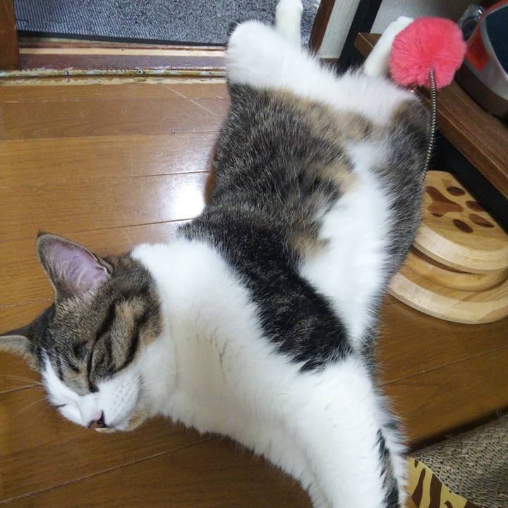 958da3a8 d768 469e 9da5 69bf9ab72725 1655724824283