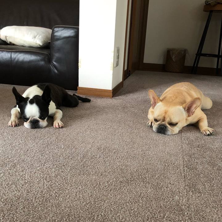 958da7c8 56b2 4942 a78b fcce29cffd4c 1567497689077