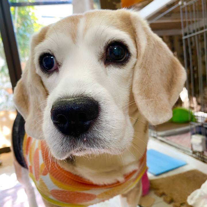 958df0ce c104 4606 8150 5f644aa619ae 1642305827060