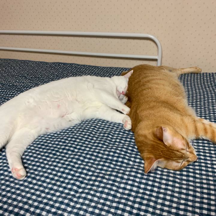 958e2f17 cda4 4585 a058 f25a4c75055b 1565019907363