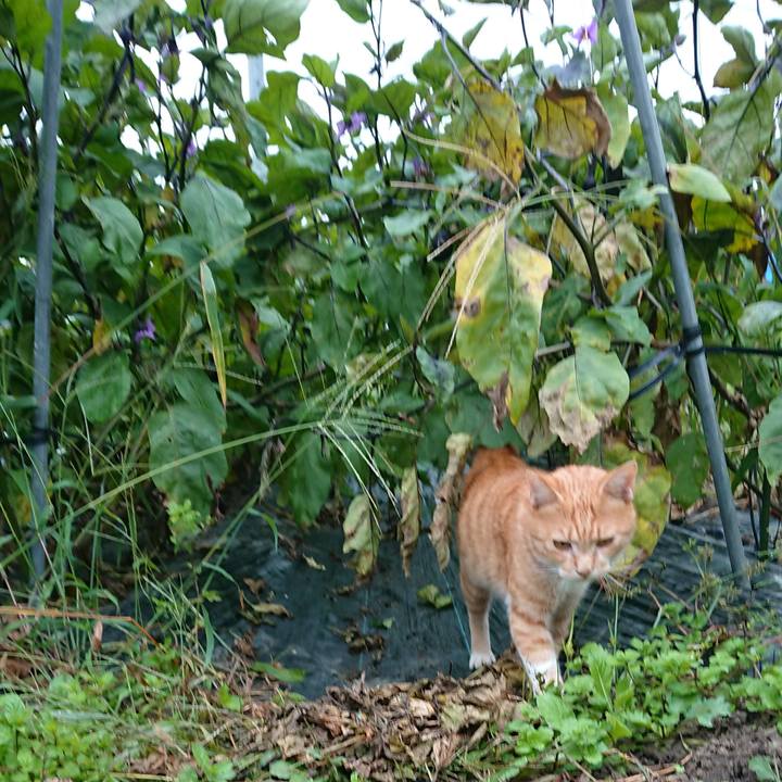 958e8b43 f77e 4a9d ae57 a734a6f0b607 1569104620593