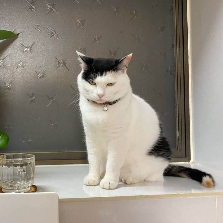 958ebe7a 97cf 4292 abe2 491c44957702 1688989581738