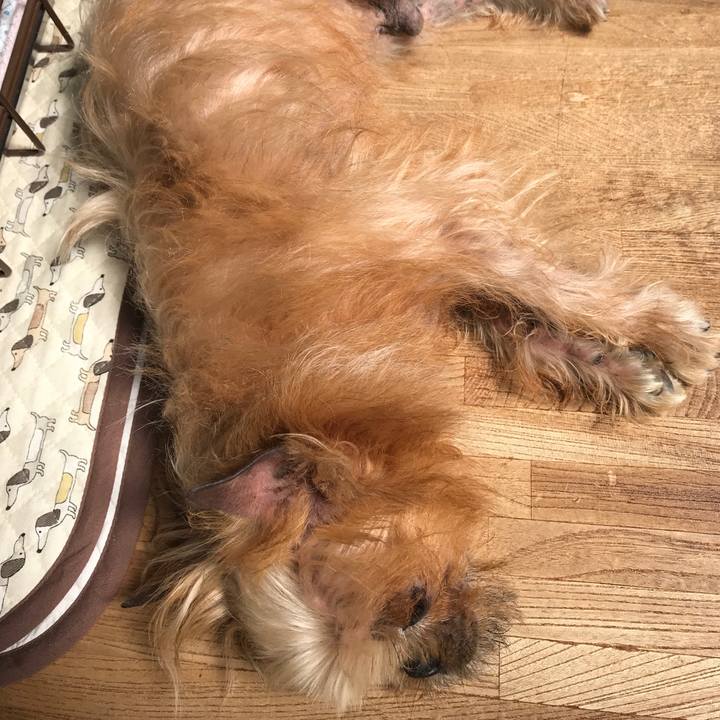 958ec906 8e54 44aa 8830 dbec2a5d33b5 1562717811919