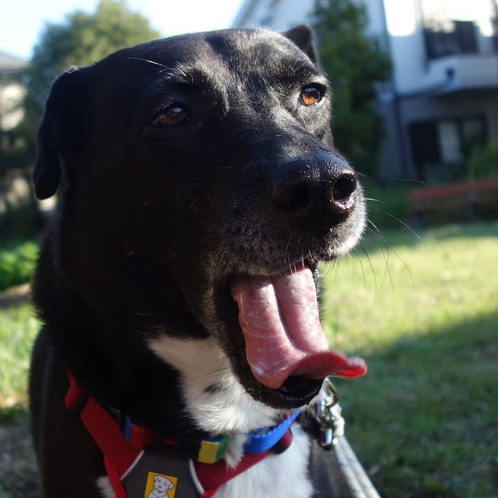 958ecb3b 19da 45f1 85d3 56cdcb98971d 1666313022861